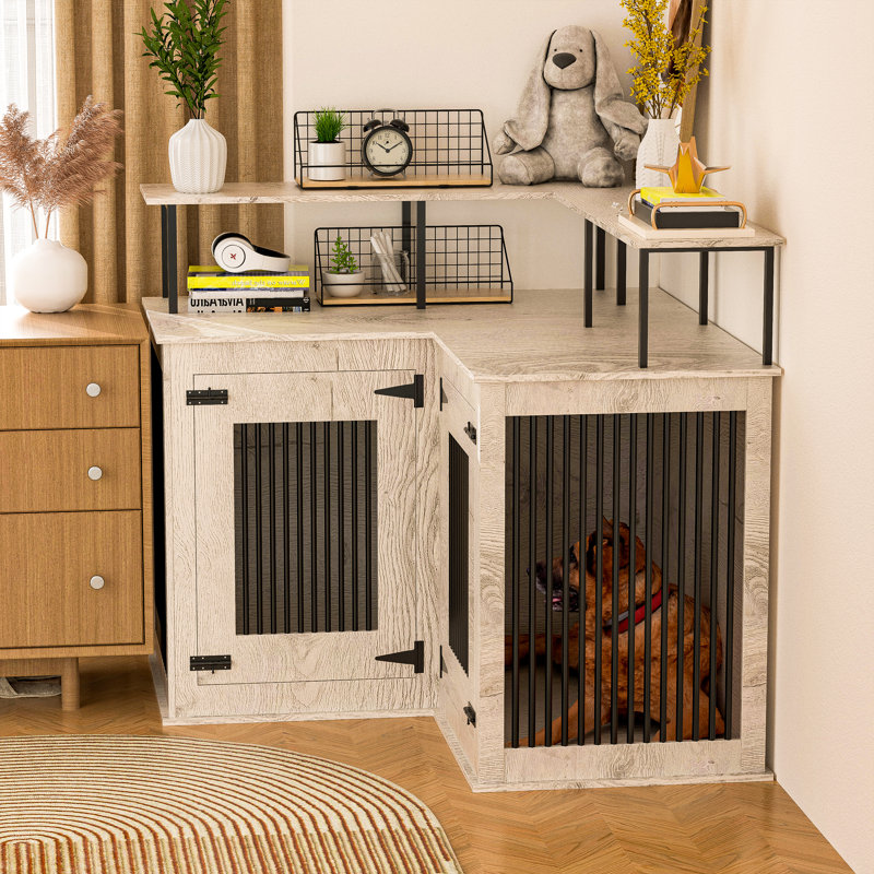 Big 2 big kennel deals